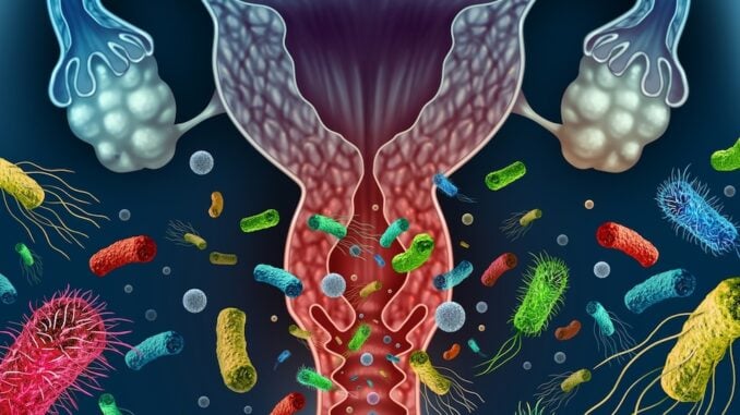 Illustrated diagram of female reproductive system with cartoon bacteria